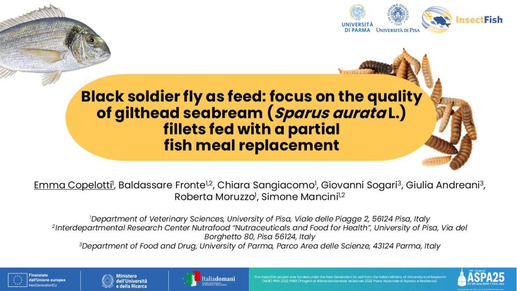InsectFish at the 26th ASPA Congress in Turin, Italy